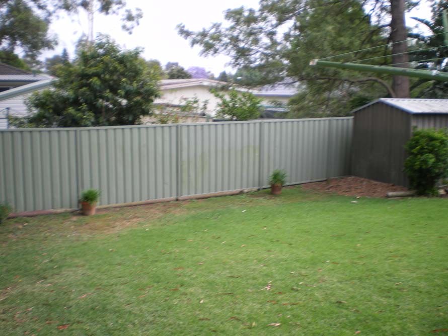 IMGP0533