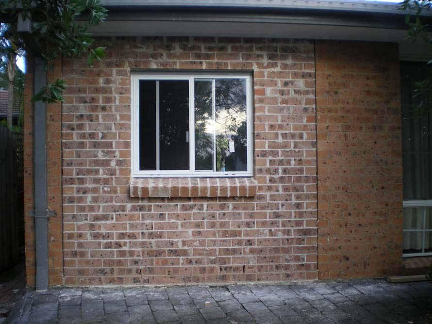 IMGP0681